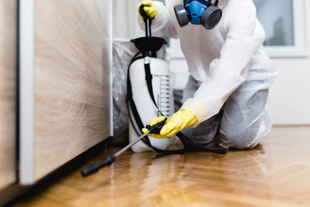 Best Affordable Pest Control Services  in Carson City, NV