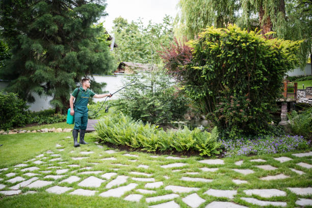 Best Pest Prevention Services  in Carson City, NV